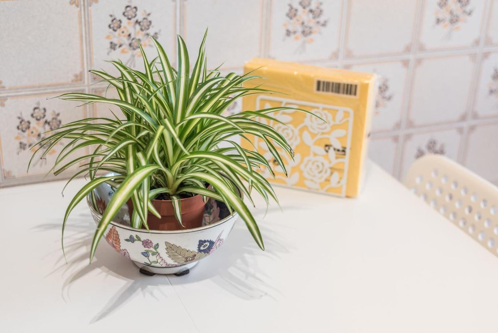 Guestready - Eclectic Haven In The Heart Of Porto Lägenhet Exteriör bild